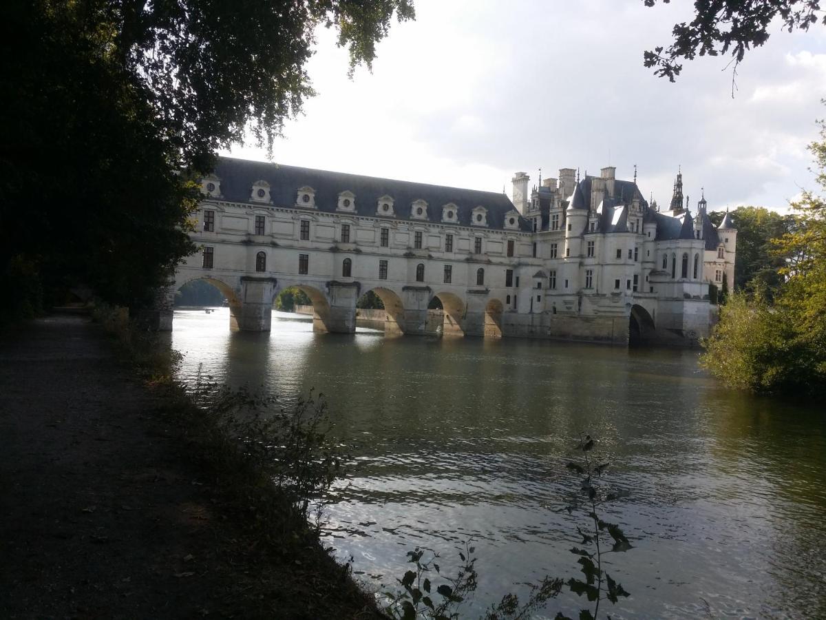 Gite Anne-Marie Davaillon Châtillon-sur-Indre Exteriér fotografie